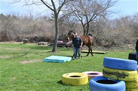 LR-WRF 0402026 Retreat-3421